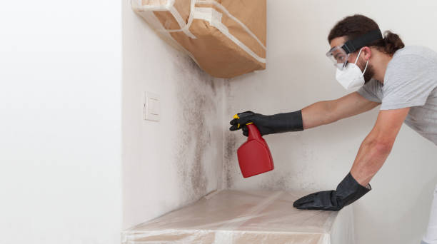 Attic Mold Remediation treatment on roof deck in Dry Run