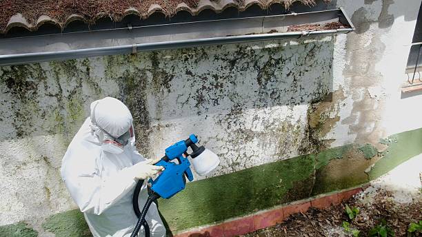Mold Remediation service in Dry Run, Dry Run, PA